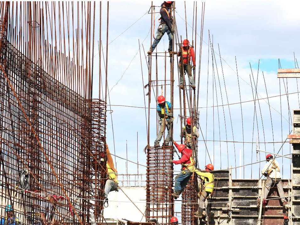 The Role of Lawyers in Workers' Compensation Cases 2024 Insights The Role of Lawyers in Workers' Compensation Cases 2024 Insights